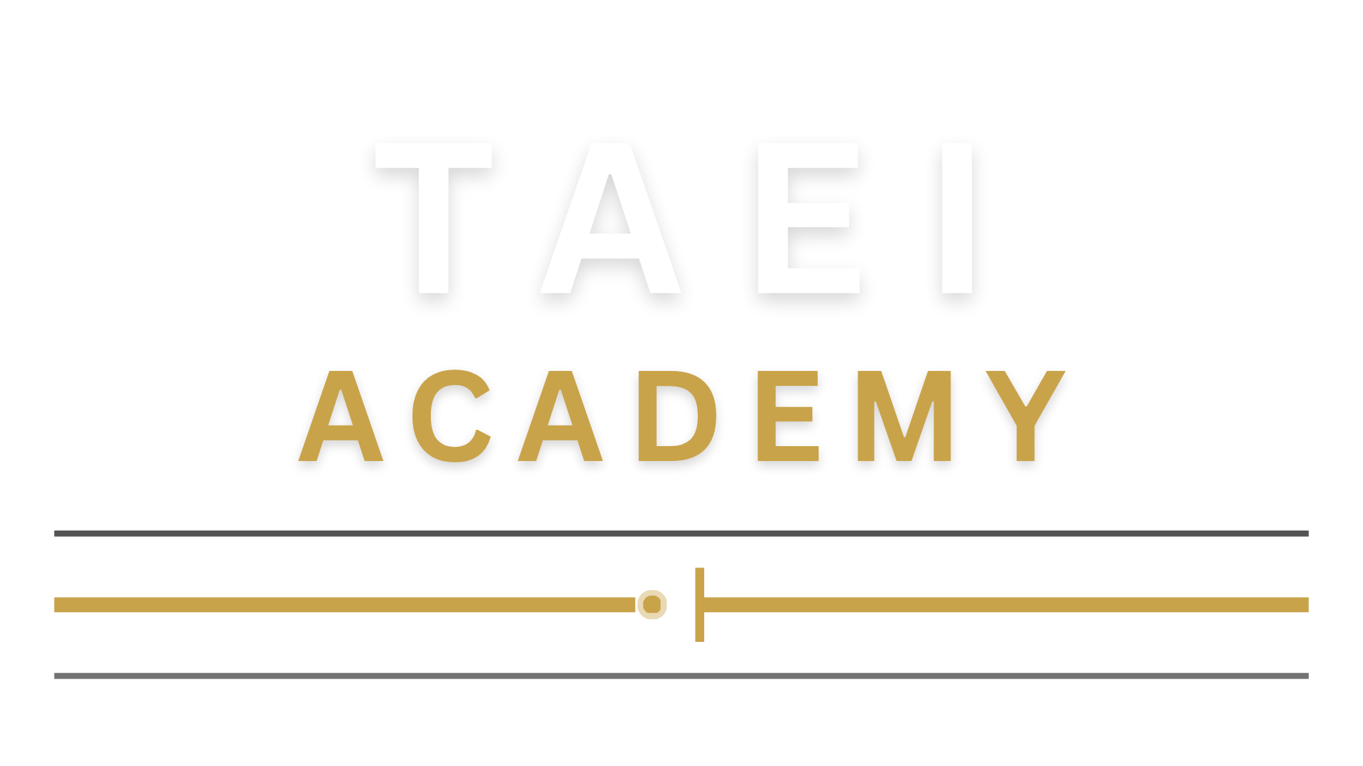 TAEI Academy, The Advancement of Empathy and Integrity